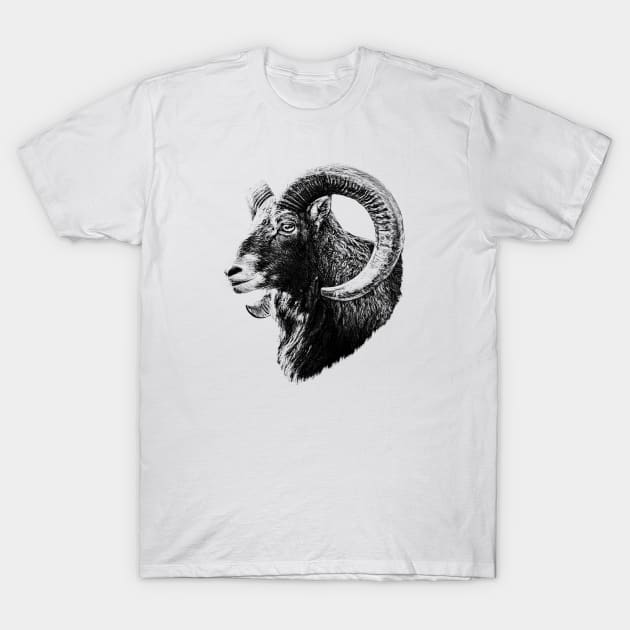 Mouflon T-Shirt by Guardi